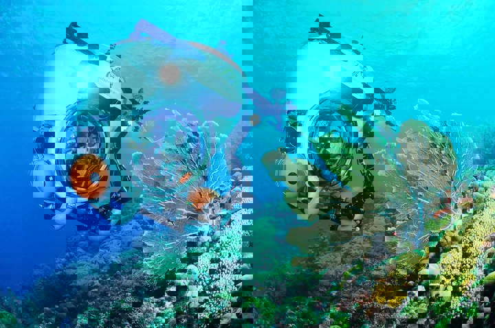 Wreck Dive | Substation Curacao